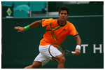 Fernando Verdasco