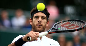 Juan Martin del Potro